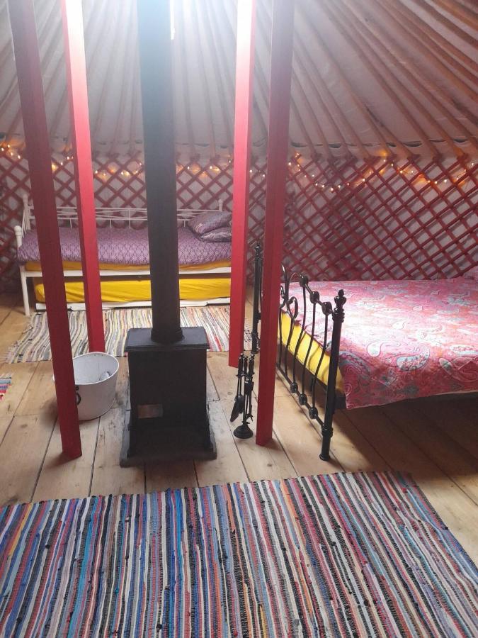 Alder Yurt Wych Elm Glamping Otel Helston Dış mekan fotoğraf