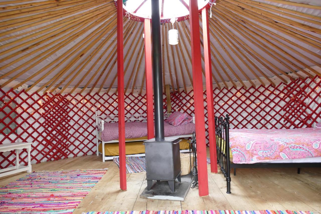 Alder Yurt Wych Elm Glamping Otel Helston Dış mekan fotoğraf